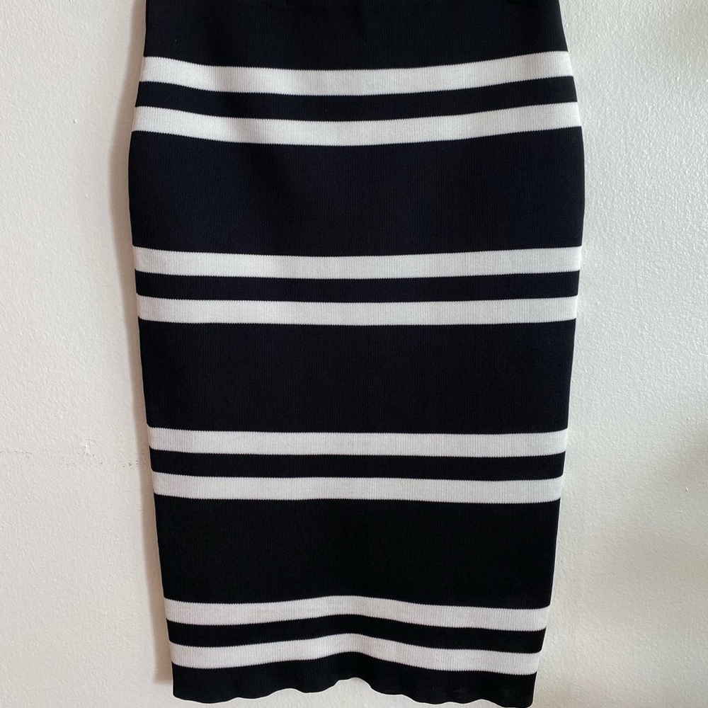 Cameo Pencil Skirt